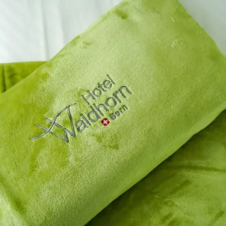 Waldhorn 3* Bern