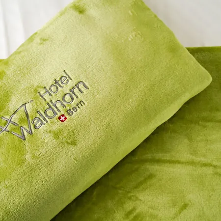 Hotel Waldhorn Berne
