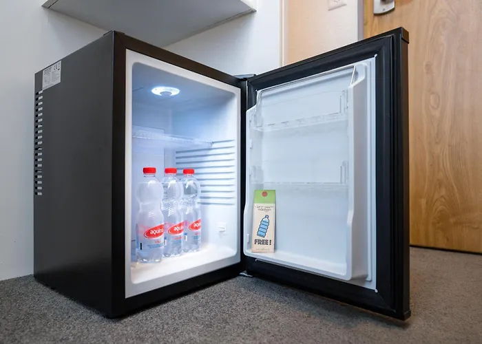 Отель Waldhorn 3*