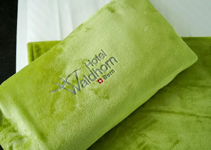 Waldhorn 3* Берн