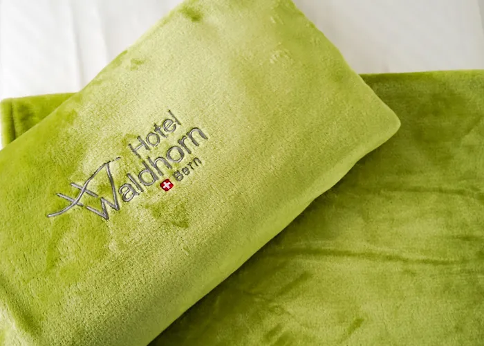 Hotel Waldhorn Bern
