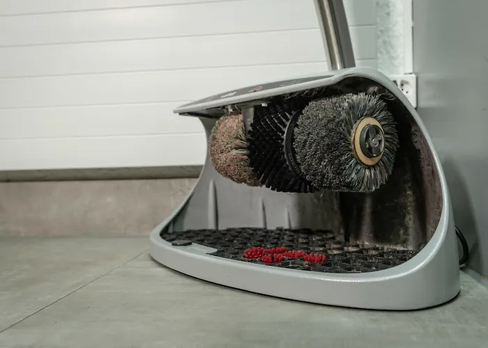 Отель Waldhorn 3*